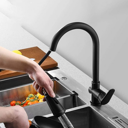 Matte Black Kitchen Faucet with Dual Spray and Single Handle - Luxivelle