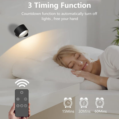 Portable LED Outdoor Indoor Wall Lamp