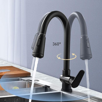 Matte Black Kitchen Faucet with Dual Spray and Single Handle