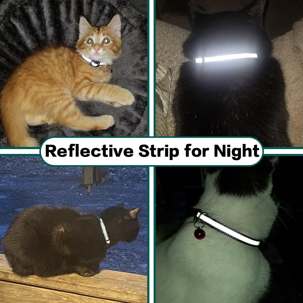 Adjustable Pet Collar with Quick Release – Reflective & Tracker Friendly