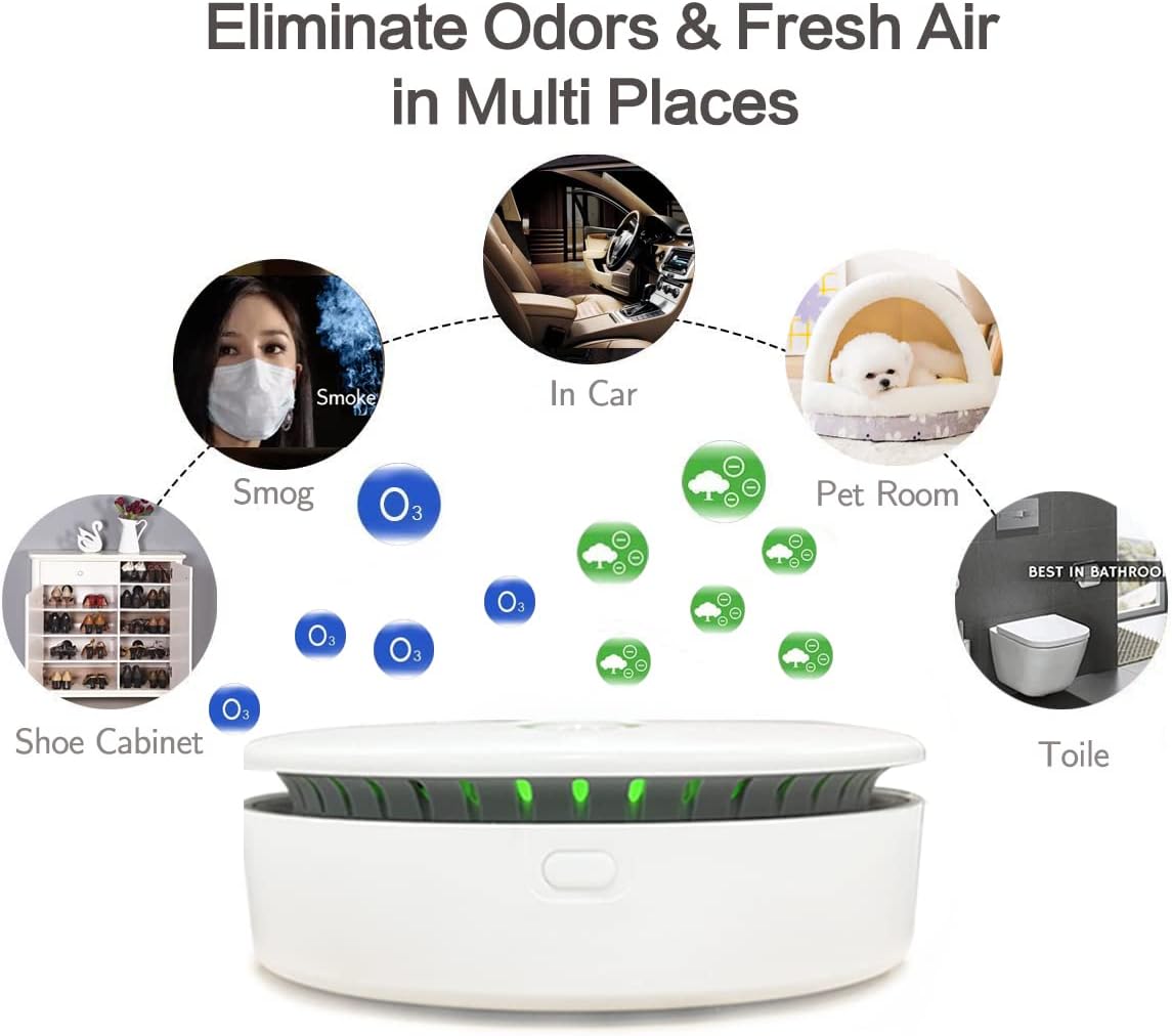 Compact Air Purifier for Home and Pet Odors