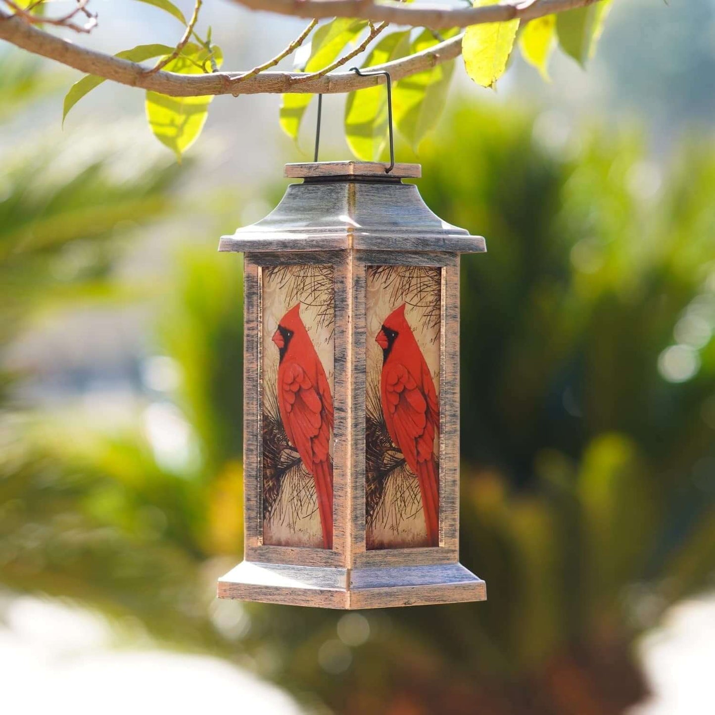 Colorful Bird Solar Powered Yard Lamp