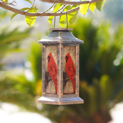 Colorful Bird Solar Powered Yard Lamp