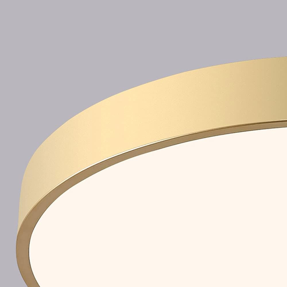 Round Indoor LED Ceiling Light Fixture