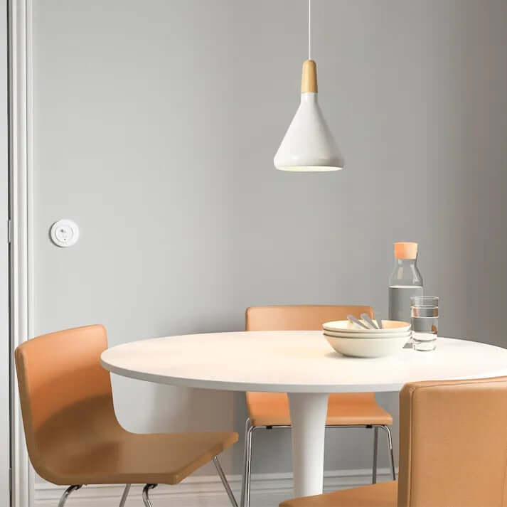 Sleek Metal Hanging Light