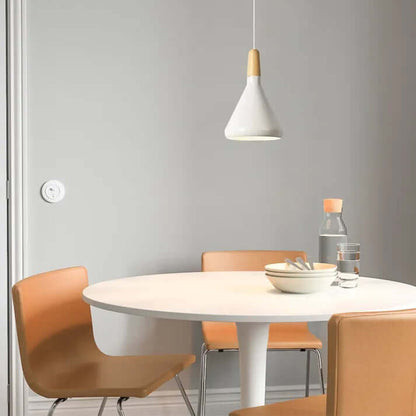 Sleek Metal Hanging Light