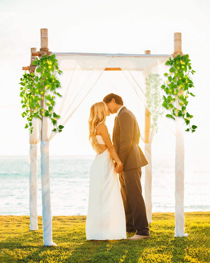 String Fairy Lights with Green Leaf Decorations