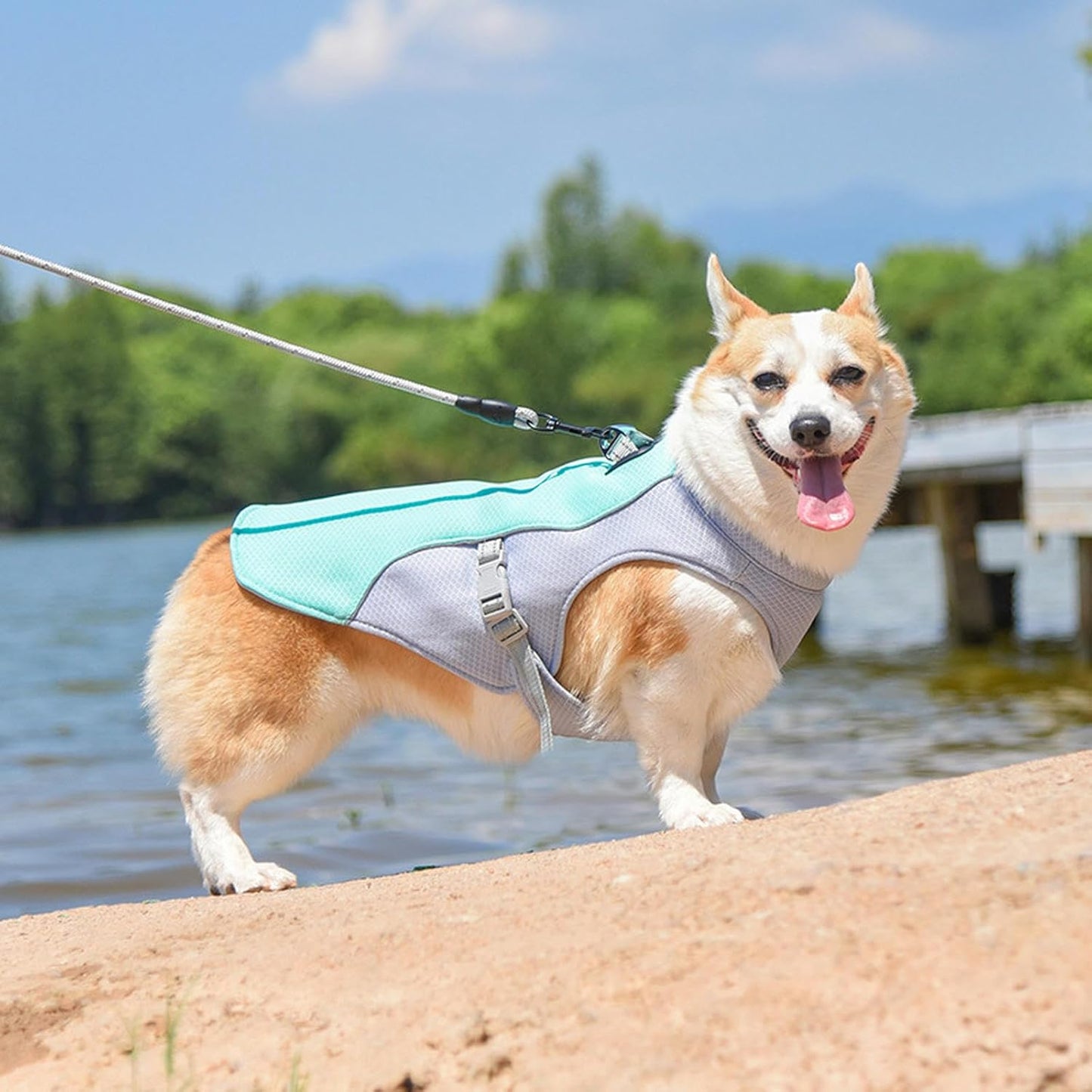 Cooling Breathable Dog Vest for Summer - Luxivelle