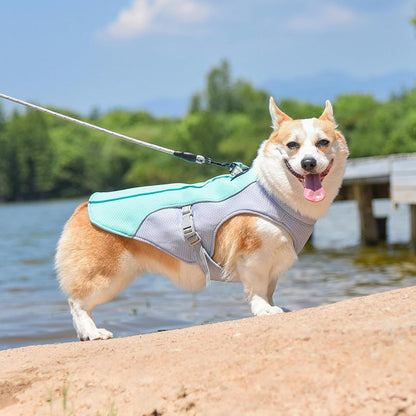Cooling Breathable Dog Vest for Summer - Luxivelle