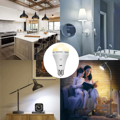 Portable Dimmable LED Desk Lamp