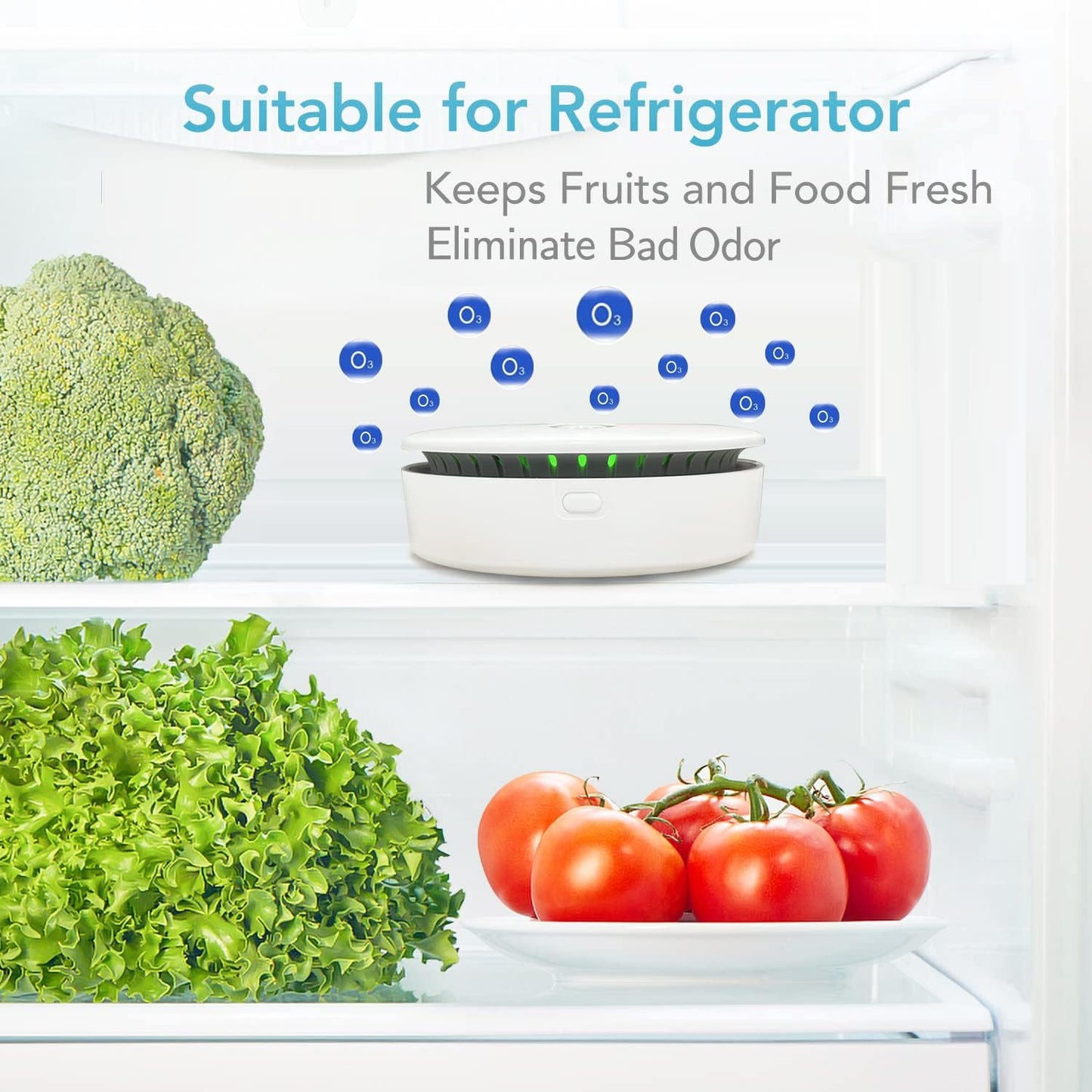 Compact Air Purifier for Home and Pet Odors