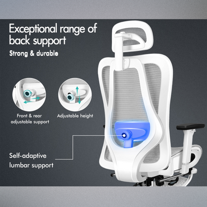 Comfortable Executive Office Chair