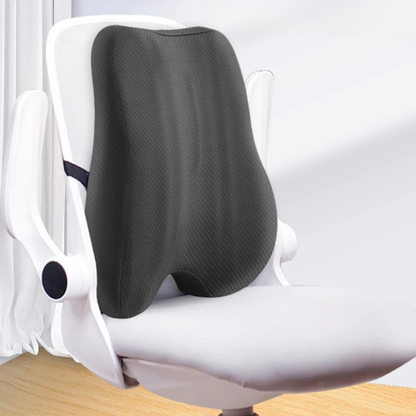 Ergonomic Back Support Pillow for Office and Home Use