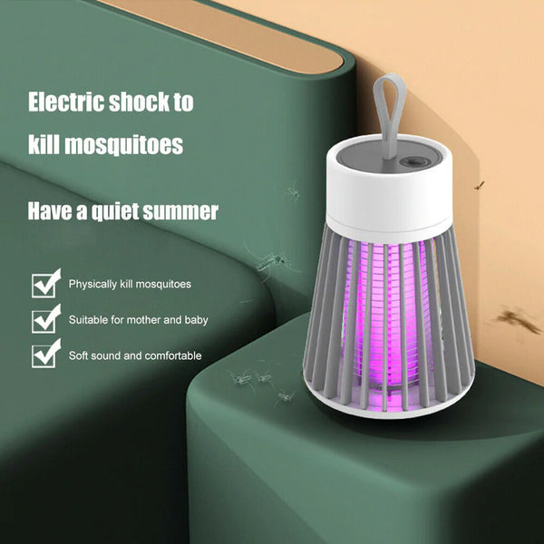 Effective Insect Killer for Home Protection