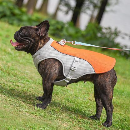 Cooling Breathable Dog Vest for Summer