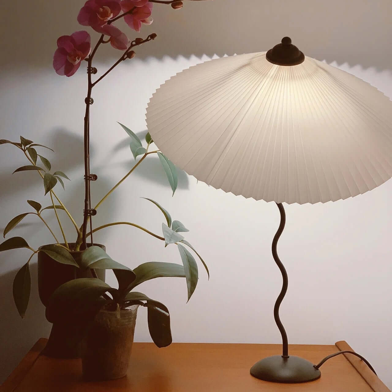 Stylish Curve Desk Lamp