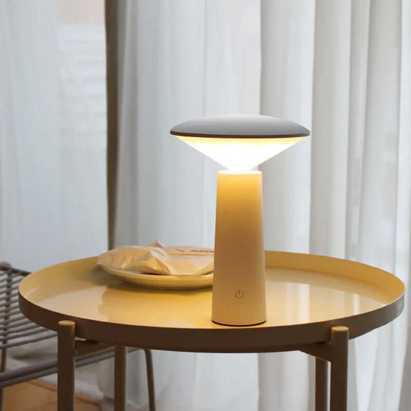 Rechargeable Portable Desk Light with Control
