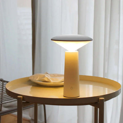 Rechargeable Portable Desk Light with Control