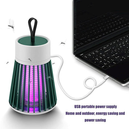 Effective Insect Killer for Home Protection