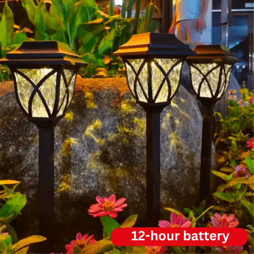 Bright Outdoor Solar Powered LED Garden Lights - Luxivelle