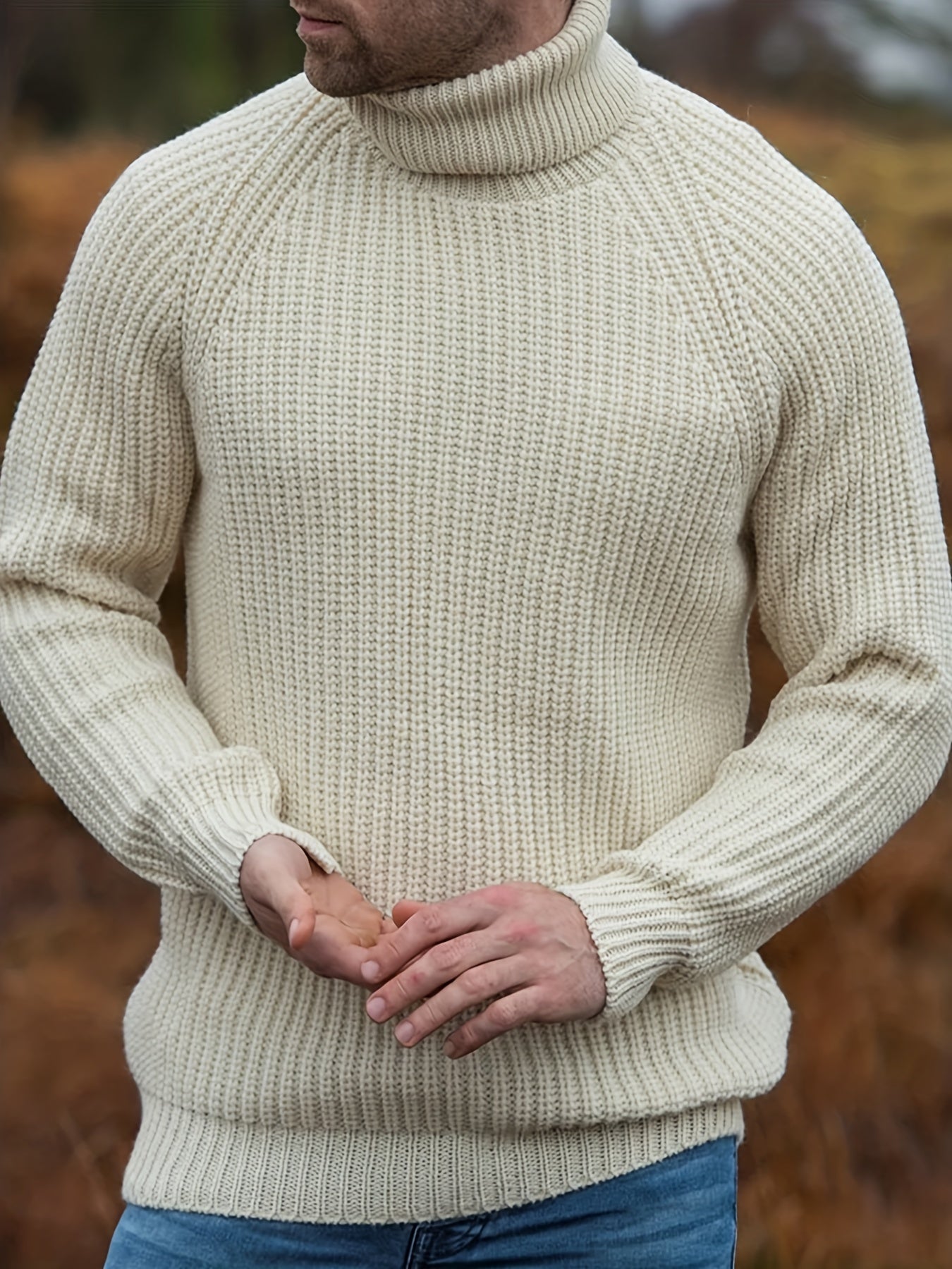 Warm Crew Neck Winter Sweater for Men