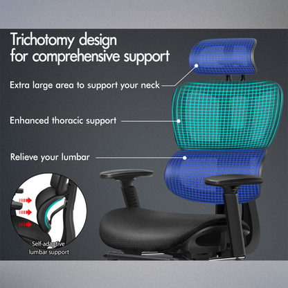 Ergonomic Mesh Office Chair