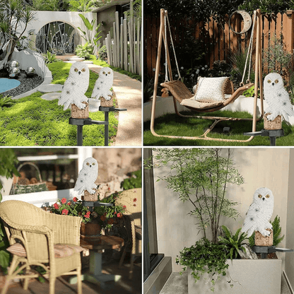 Outdoor Owl Solar Powered Lanterns (2-Pack)