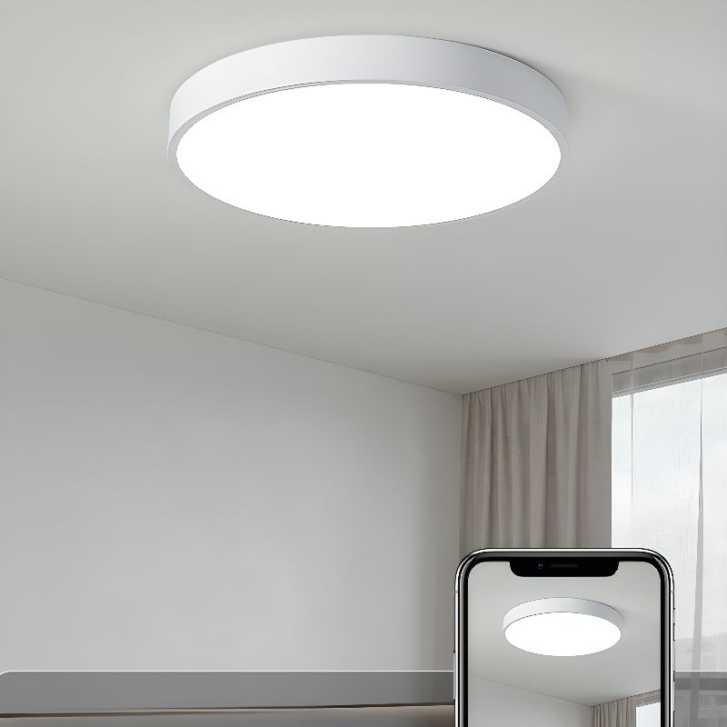 Round Indoor LED Ceiling Light Fixture