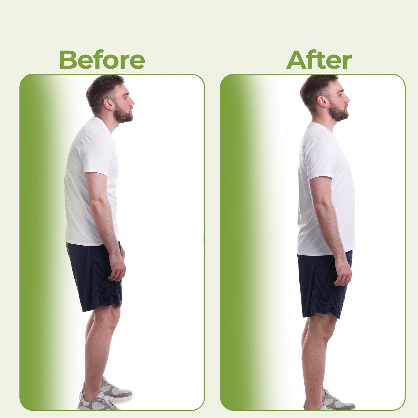 Comfortable Lower Back Support Belt with Free Massager