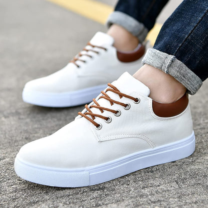Casual Men's Low Top Lace Sneakers