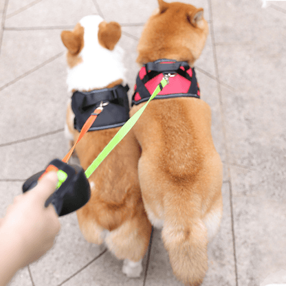 Long Adjustable Double Dog Leash with LED Light