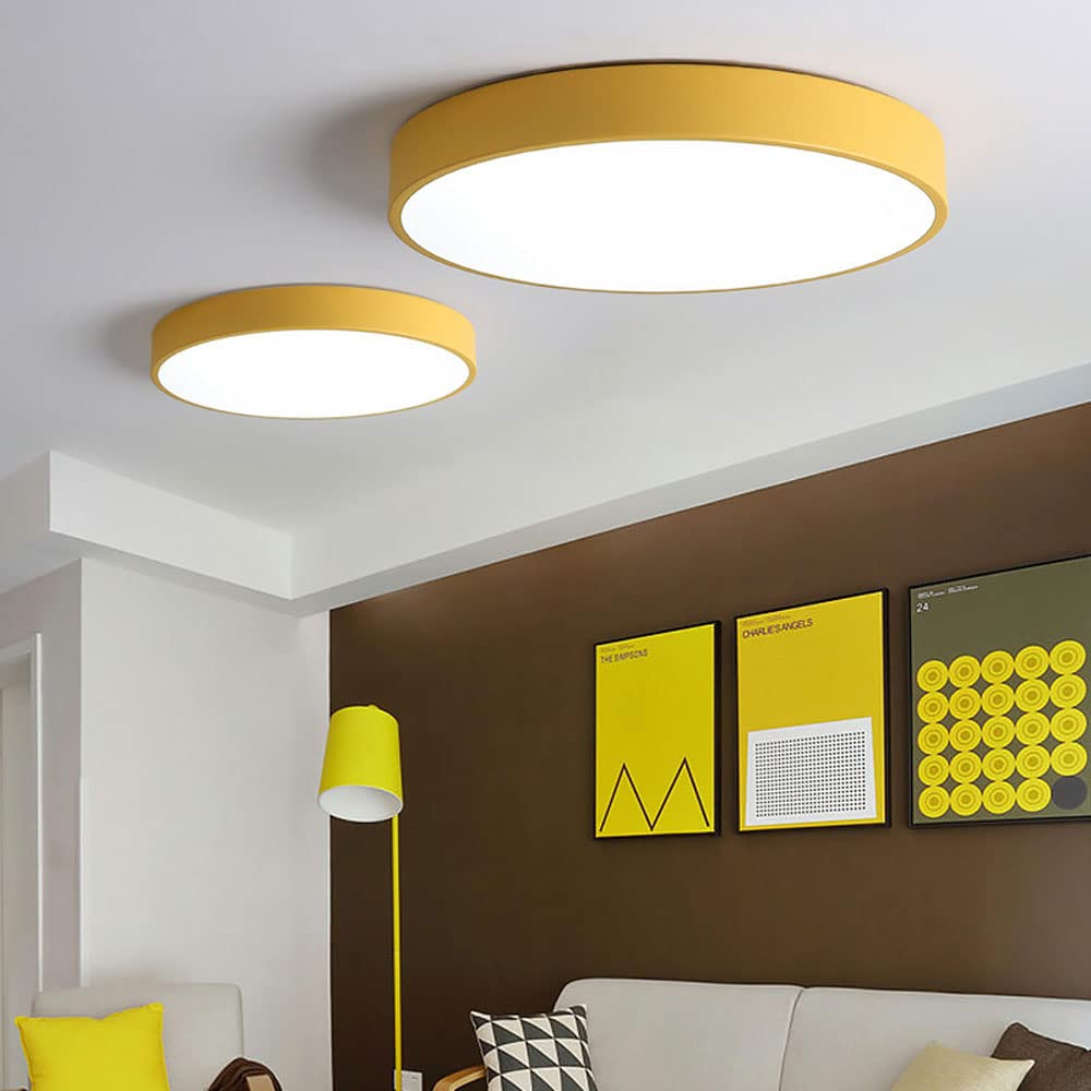 Round Indoor LED Ceiling Light Fixture