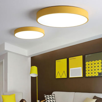 Round Indoor LED Ceiling Light Fixture