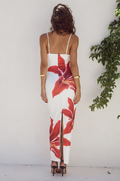 Sophie | Maxi Dress-2