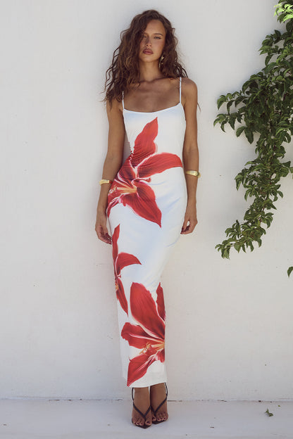 Sophie | Maxi Dress-1