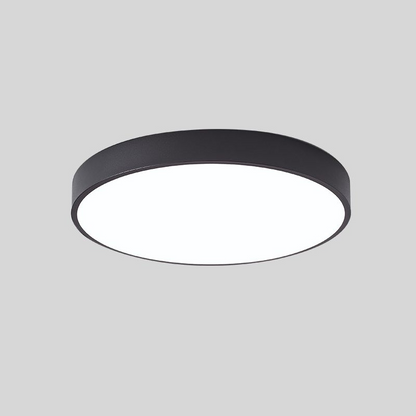 Round Indoor LED Ceiling Light Fixture