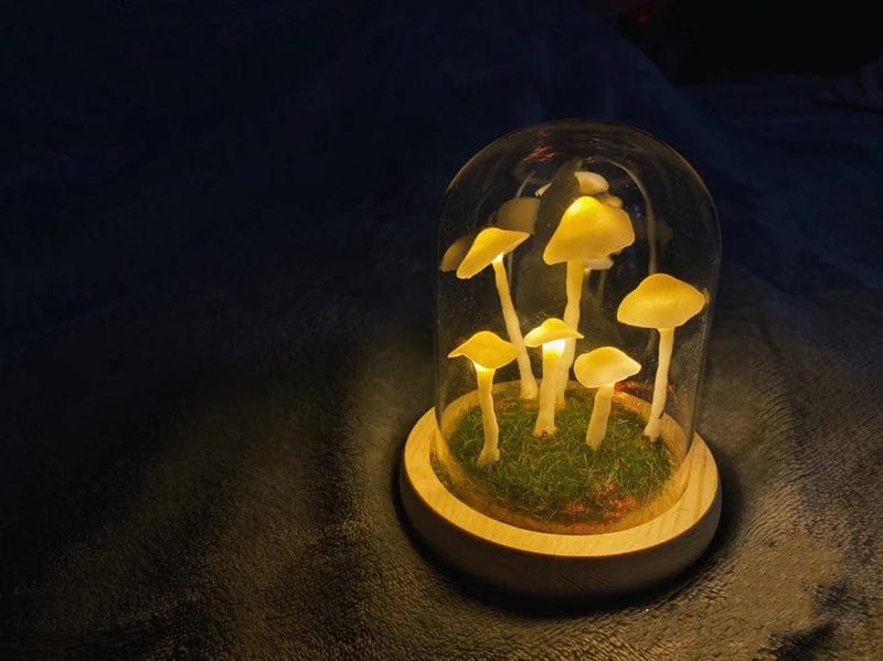 Easy Glass Table Lamp Making Kit