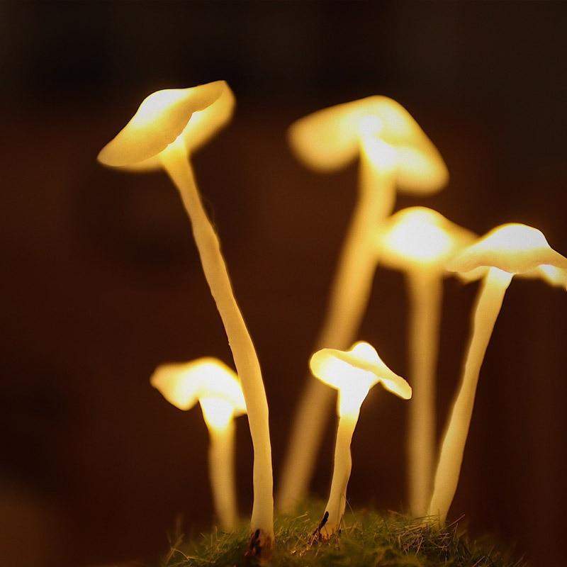 Easy Glass Table Lamp Making Kit
