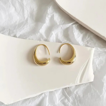 Beautiful Drop Earrings - Luxivelle