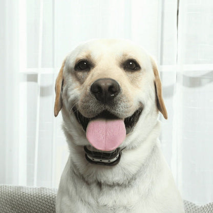 Easy Install Wireless Pet Fence & Training Collar
