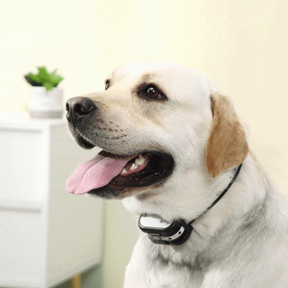 Easy Install Wireless Pet Fence & Training Collar