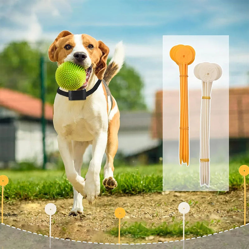 Easy Install Rechargeable Pet Fence System