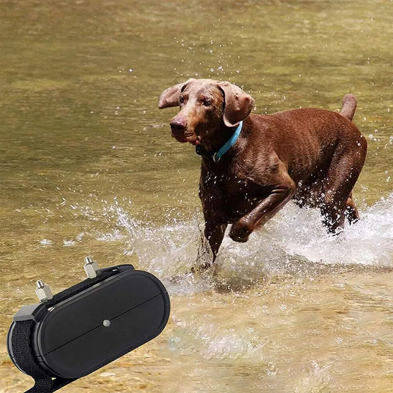 Easy Install Rechargeable Pet Fence System