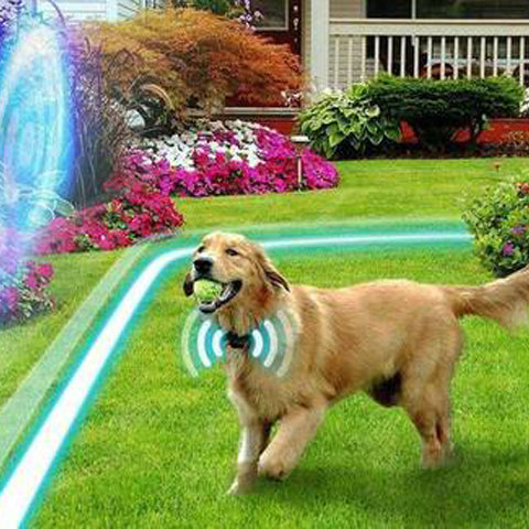 Easy Install Rechargeable Pet Fence System