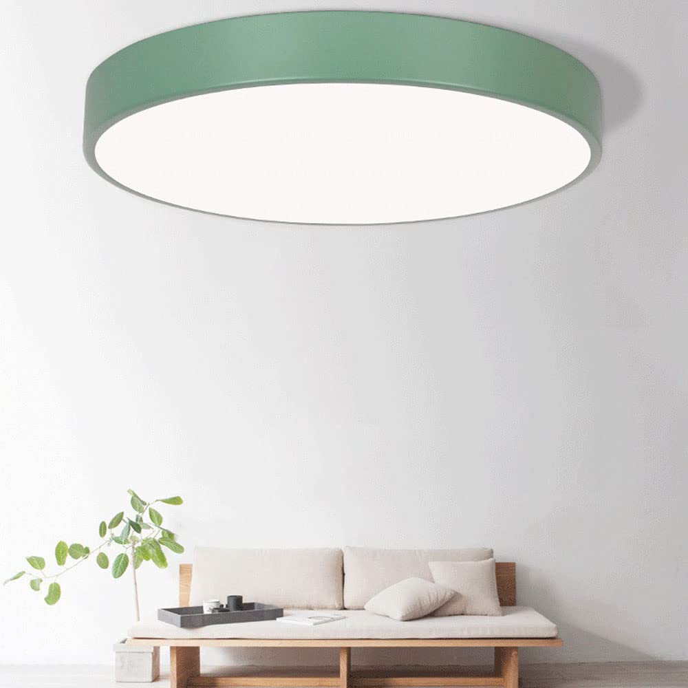Round Indoor LED Ceiling Light Fixture
