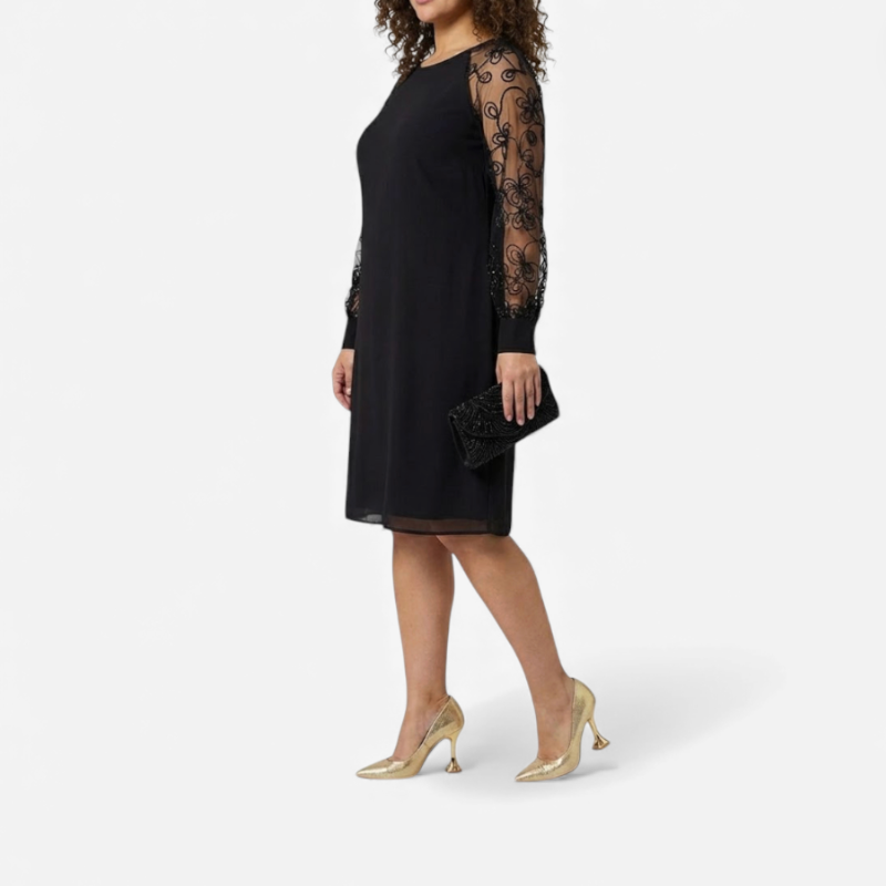 Elegant Ladies Dress With Lace Details
