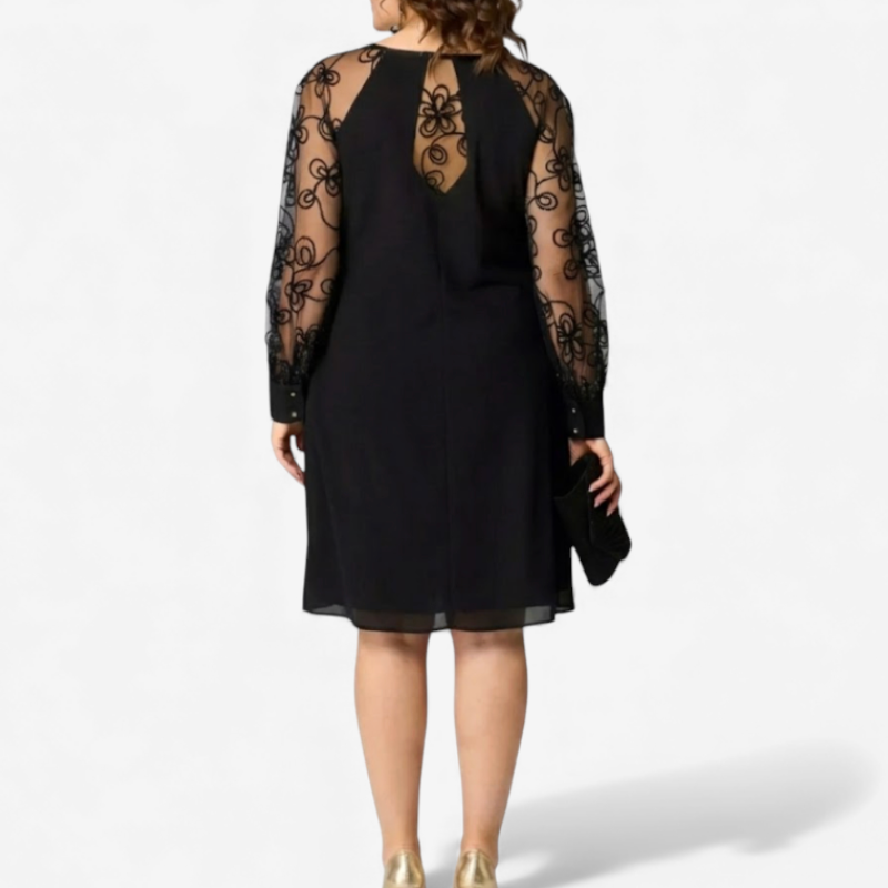 Elegant Ladies Dress With Lace Details
