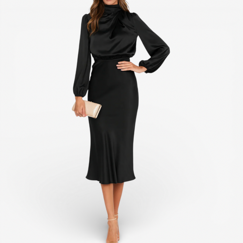 Elegant Ladies Evening Gown Dress - Luxivelle