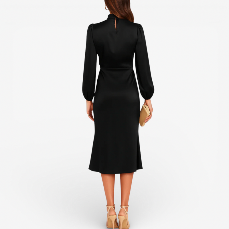 Elegant Ladies Evening Gown Dress
