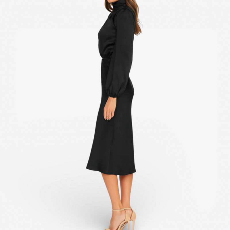 Elegant Ladies Evening Gown Dress